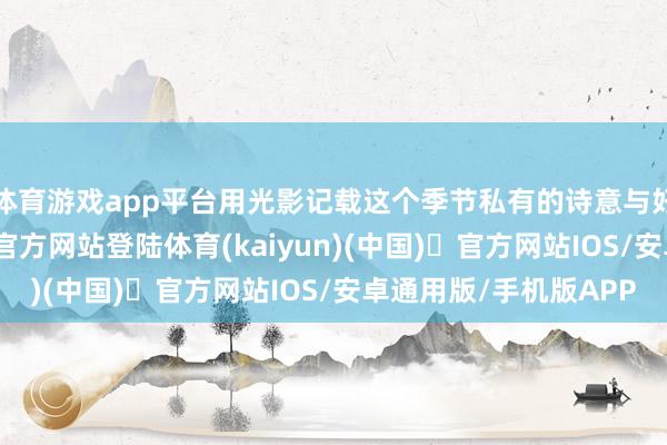 体育游戏app平台用光影记载这个季节私有的诗意与好意思好-开