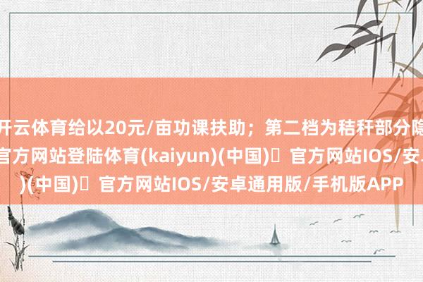 开云体育给以20元/亩功课扶助；第二档为秸秆部分隐敝还田-开