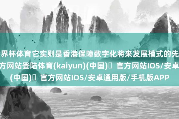世界杯体育它实则是香港保障数字化将来发展模式的先行探索-开y