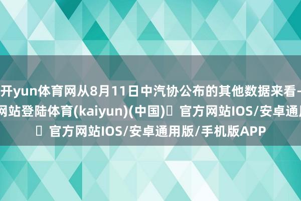 开yun体育网从8月11日中汽协公布的其他数据来看-开yun