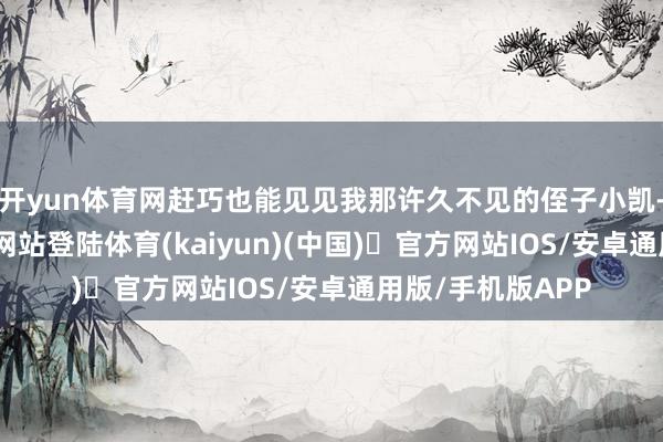 开yun体育网赶巧也能见见我那许久不见的侄子小凯-开yun体