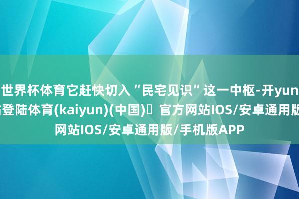 世界杯体育它赶快切入“民宅见识”这一中枢-开yun体育官方网