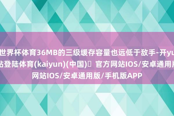 世界杯体育36MB的三级缓存容量也远低于敌手-开yun体育官